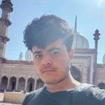 muslim matrimonial member picture